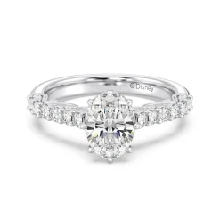 Enchanted Star Lab Grown Diamond 14K Gold Cinderella Filigree Engagement Ring