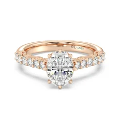 Enchanted Star Lab Grown Diamond 14K Gold Cinderella Filigree Engagement Ring