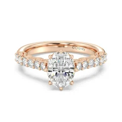Enchanted Star Lab Grown Diamond 14K Gold Cinderella Filigree Engagement Ring