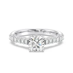 Enchanted Star Lab Grown Diamond 14K Gold Cinderella Filigree Engagement Ring